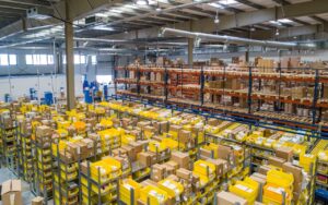 IQF Processing and Cold Chain